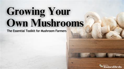 The Grow Your Own Mushrooms Guide .